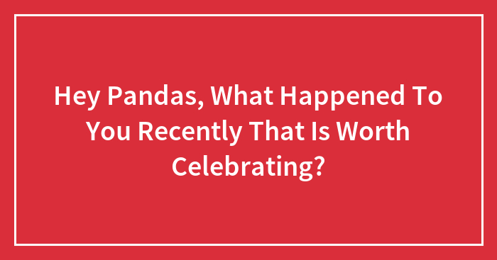 Hey Pandas, What Happened To You Recently That Is Worth Celebrating?